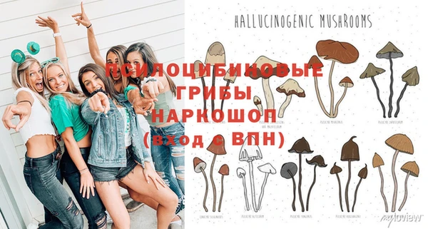 jwh Инсар