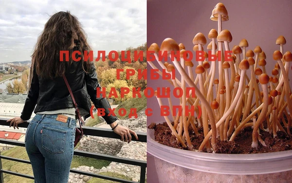 jwh Инсар