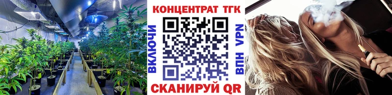 ТГК THC oil  Купить закладки  Заозёрный 